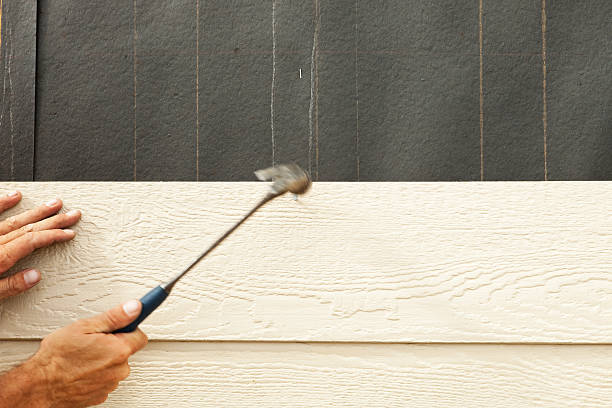 Best Wood Siding Installation  in Lasalle, IL